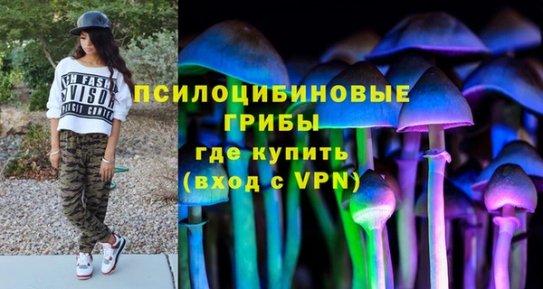 a pvp Алексин