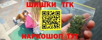 шишки Кандалакша