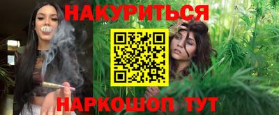 шишки Кандалакша