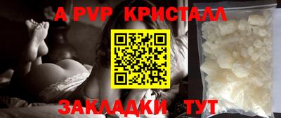 шишки Кандалакша