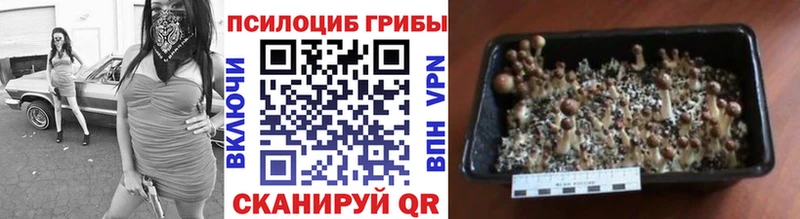 Псилоцибиновые грибы GOLDEN TEACHER  Керчь 
