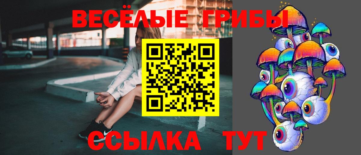 Псилоцибиновые грибы GOLDEN TEACHER Керчь